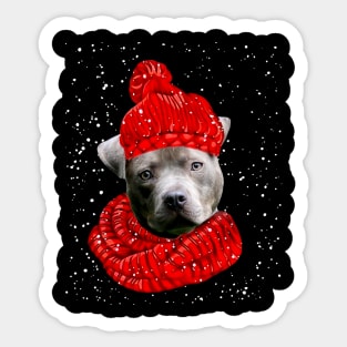Pitbull Wearing Red Hat And Scarf In Snow Christmas Sticker